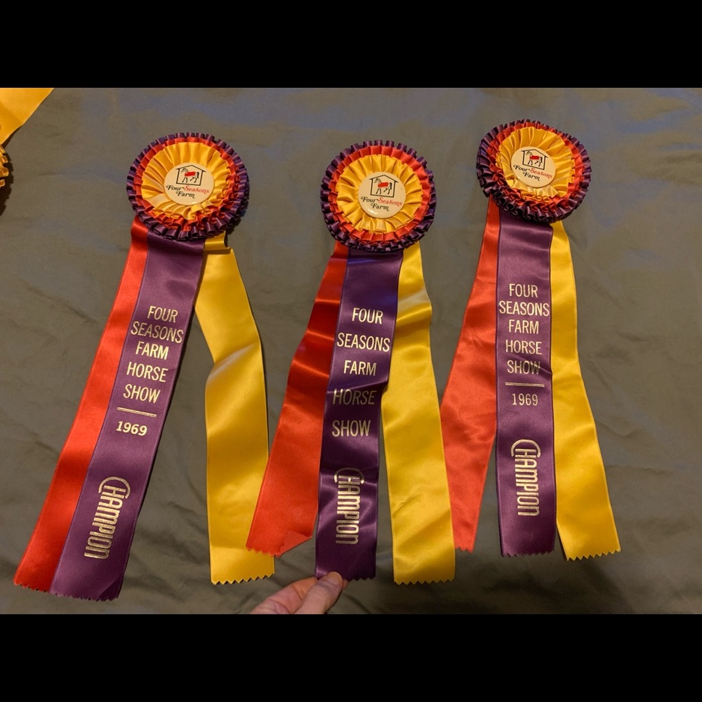 3 Vintage Champion Horse Show Ribbons from 1969